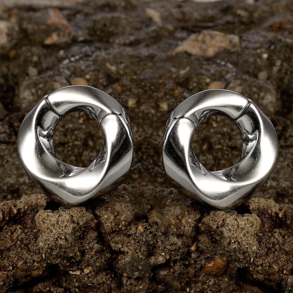 Casvort 2 PCS Hypoallergenic 316 Stainless Steel Halo Ear Hangers Basic Hot Ear Weights Gauges Plugs for Stretched Lobe Body Jewelry Piercing Plug Pair Selling 2g 0g