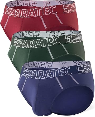 Separatec Men's Underwear Briefs Bamboo Rayon Breathable Tagless Underpants Dual Pouch Stylish Multicolours 3 Pack