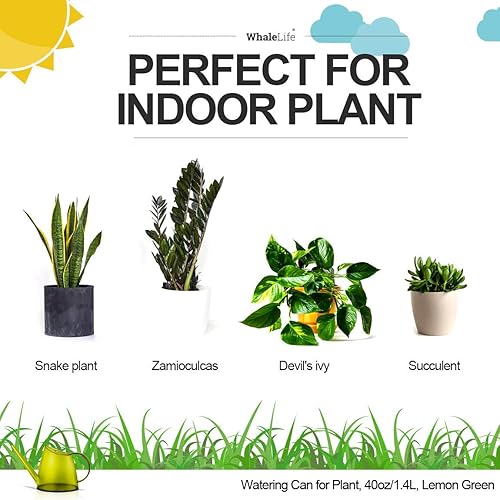 Miniatura 30 de WhaleLife Regadera interior para plantas de bonsái de casa (1.4L, verde)