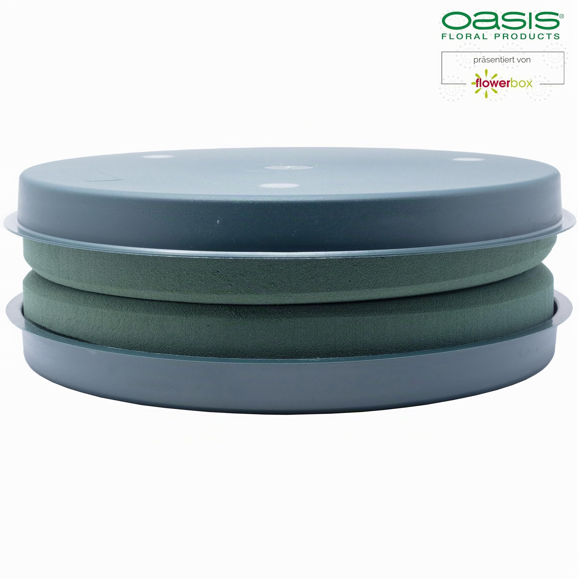 Flowerbox Oasis Steckschaum IDEAL Design Ring Ø30cm Steckmasse Steckschwamm - 2 Stück