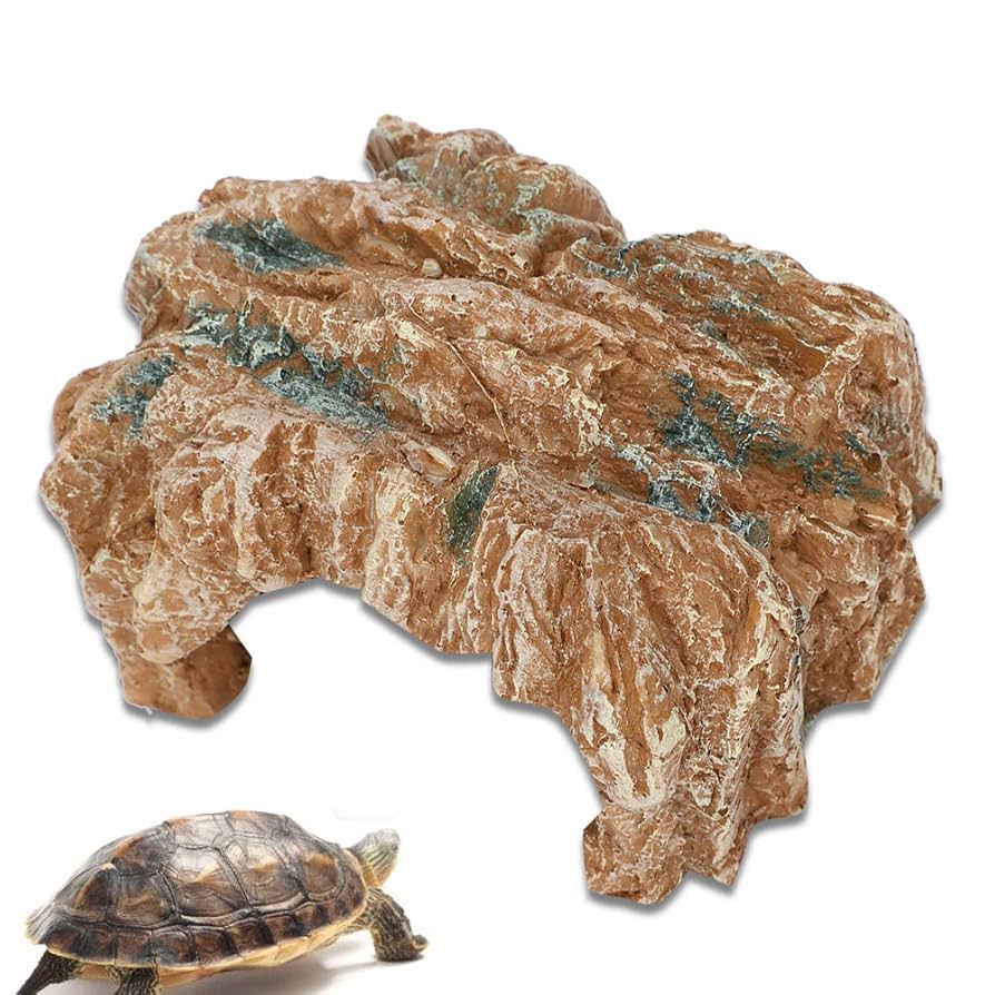 アフリカ部族水壺　シェル 取寄】ORCA シェル AIO 60 - 海水魚ショップ ナチュラル