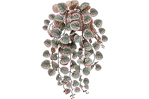 Briful Fake String of Hearts Plants with Ceramic Pot