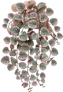 Briful Fake Plants Indoor 16'' Artificial String of Hearts Plants with C...