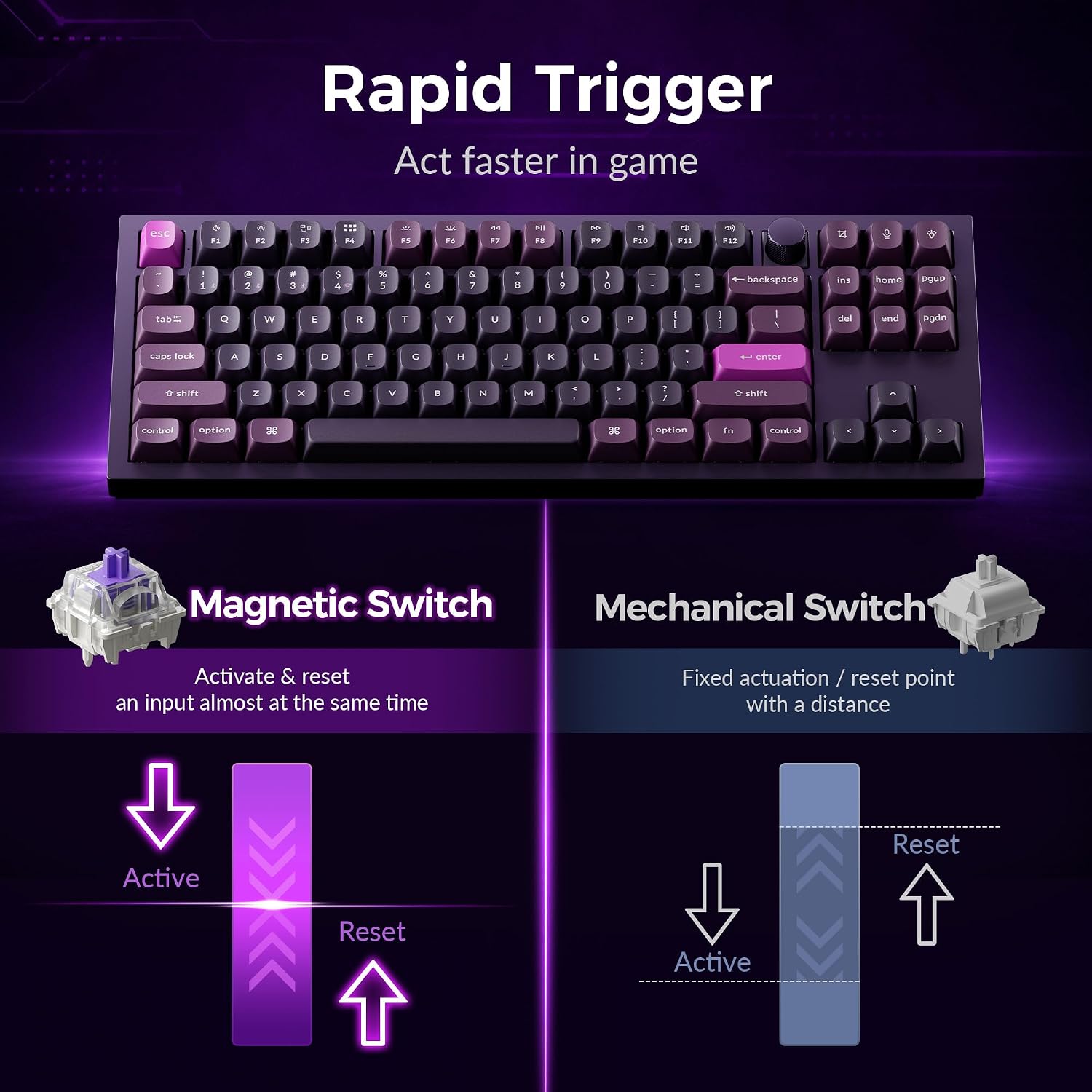 Keychron Q3 HE Wireless Custom Gaming Keyboard, 80% TKL Rapid Trigger, 2.4 GHz/Bluetooth/Wired, QMK Aluminum RGB Gateron Double-Rail Magnetic Switch PBT Keycaps for Mac Windows Linux, Purple 3 71OUlFz+DAL. AC SL1500