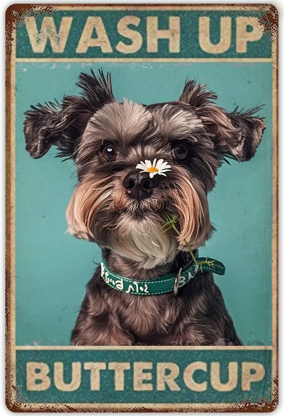 Anceky Schnauzer Diamond Painting Kits for Adults,Funny Bathroom Signs Wash Up Buttercup 5D Diamond Art Kits Beginners Dog Lovers Full Drill Diamond Gem Art for Home Decor 12X16 Inch