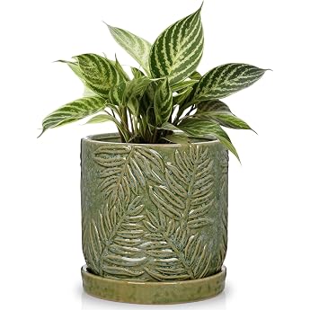 14 cm Planters Ceramic Flower Pot with Saucer Green Planter