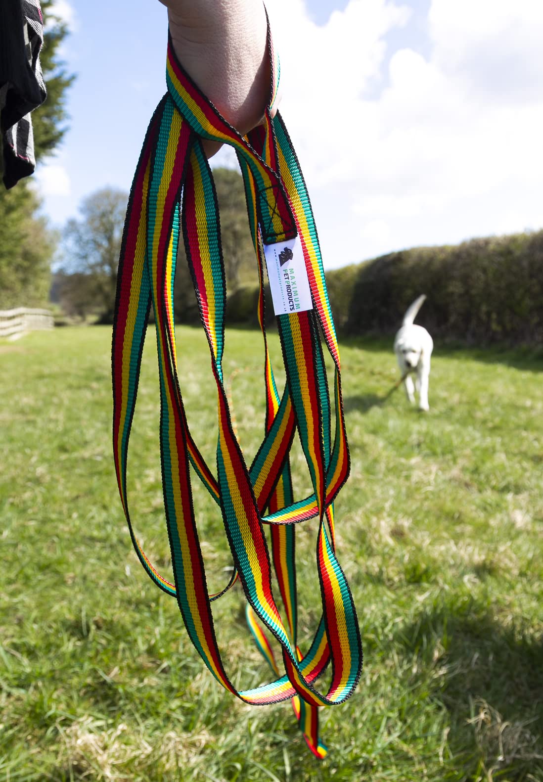 Guinzaglio per cani (60 m, giamaicano)