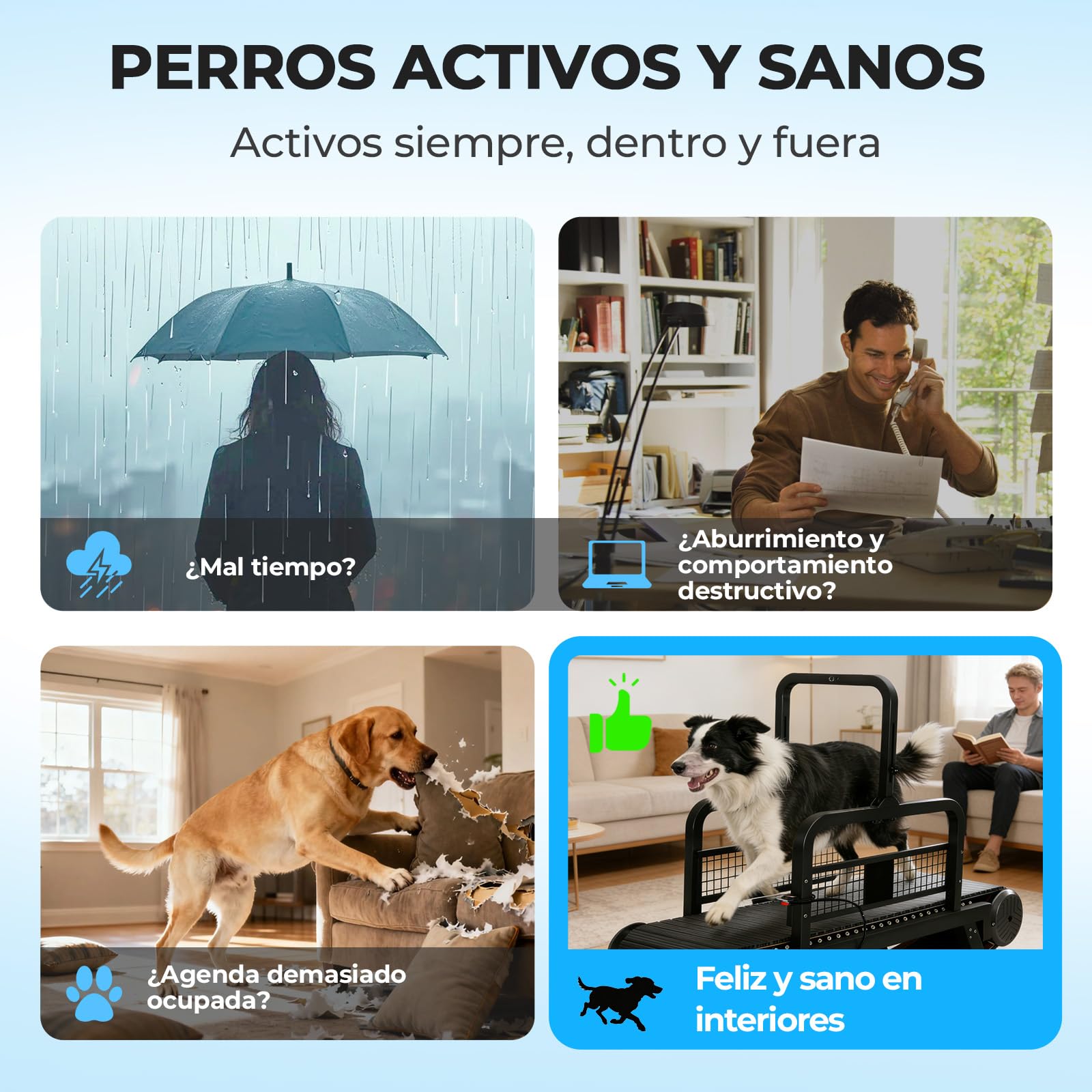 RiveraSink Cinta de Correr para Perros Slatmill Autopropulsada, Caminadora para Perros Medianos y Grandes, con Freno Manual, Capacidad 200 kg, Banda de Carrera 170×50 cm, Silenciosa para Interior