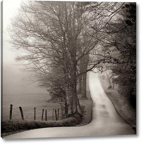 Nicholas Bell de Cades Cove - 16 x 16 pulgadas - Lienzo impreso con envoltura de galería, listo para colgar