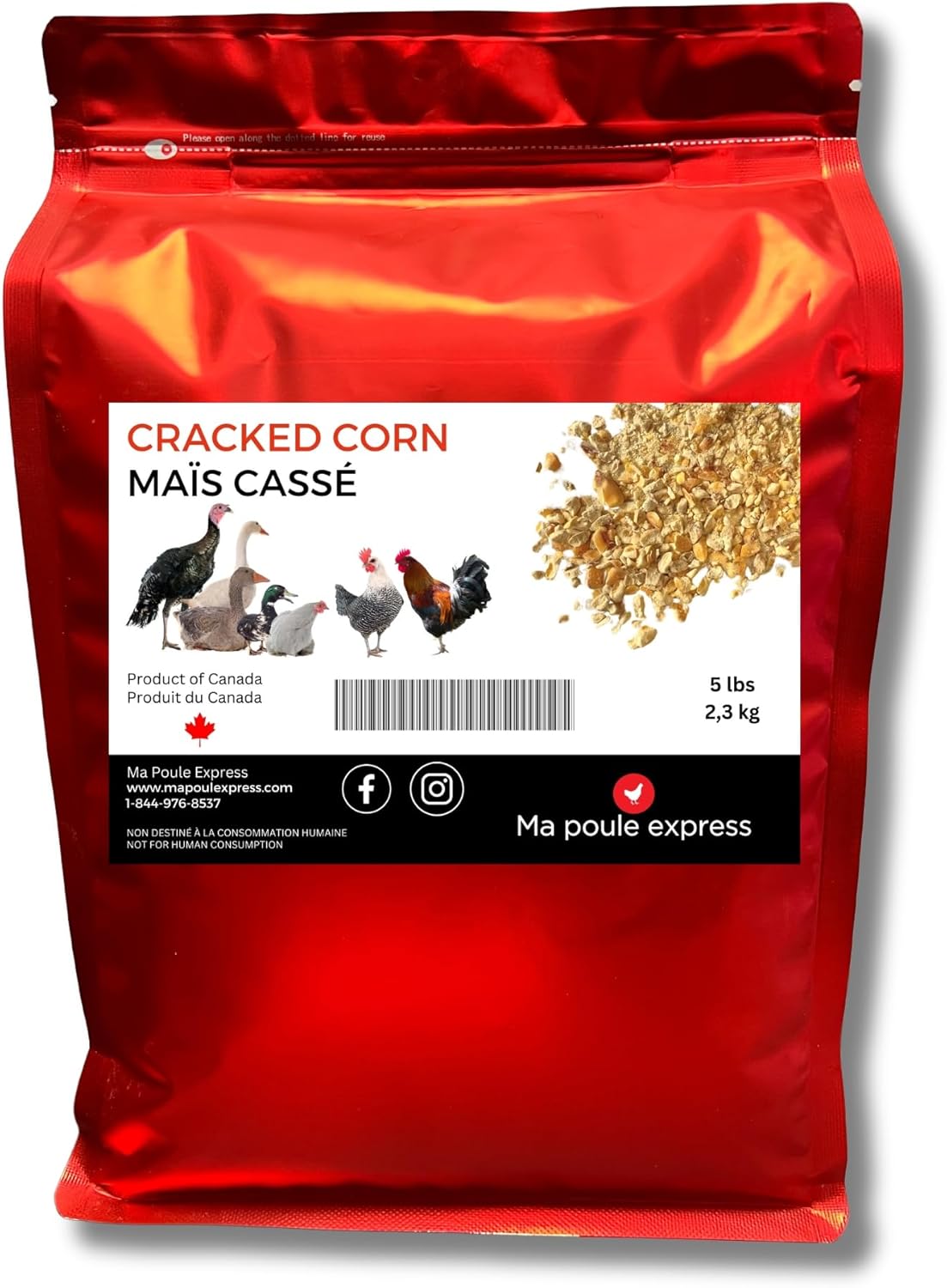 Respicat Chat ReaVET Herbes Bronchiques Cheval 1 Kg – Herbes Naturelles Pour La Toux Et Le Nez Qui Coule, Herbes Respiratoires Pour Chevaux Comme Complément Alimentaire, Herbes Contre La Toux Pour Les