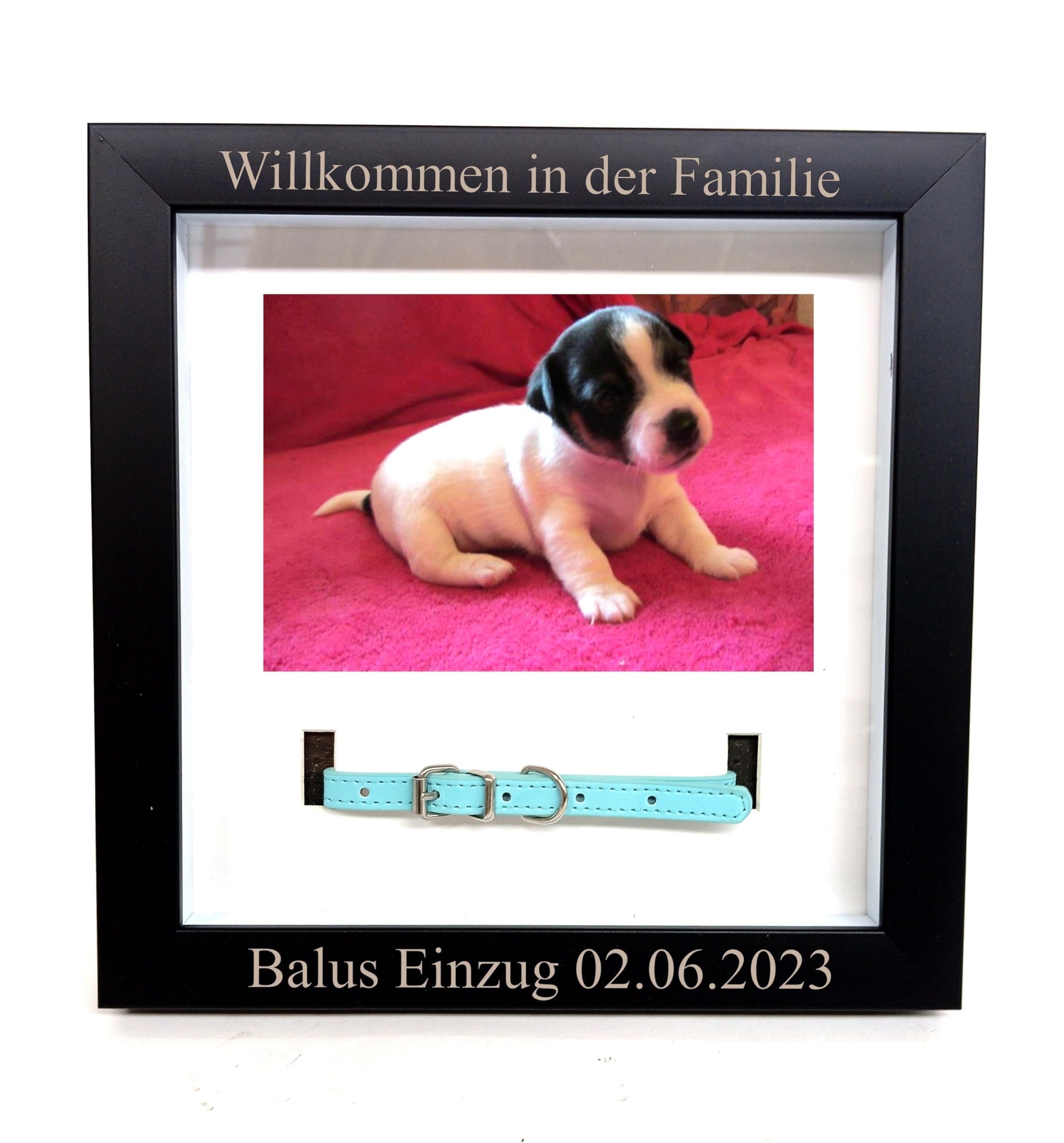 Design Fotorahmen Hunde Katzen Halsband Bilderrahmen Katzen Andenken Trauerrahmen 10x15cm Fotorahmen mit Namensgravur
