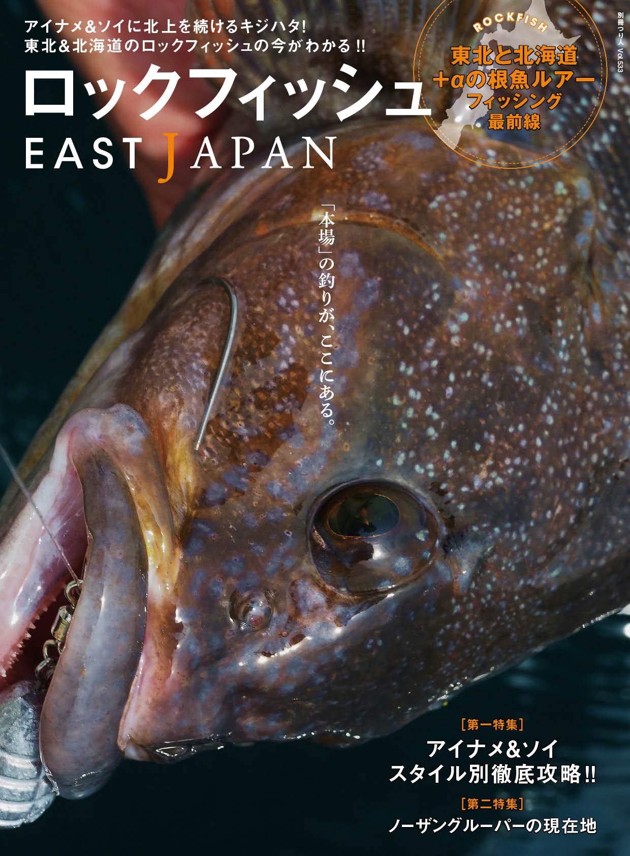 ロックフィッシュ EAST JAPAN (別冊つり人 Vol. 533) |本 | 通販 | Amazon