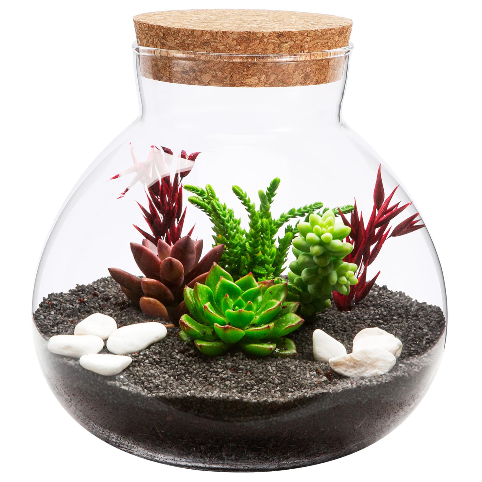 Eco-Friendly Glass Terrarium Jar with Cork Lid, Diy Micro Landscape Bottle for Succulents Ferns and Decorative Plants