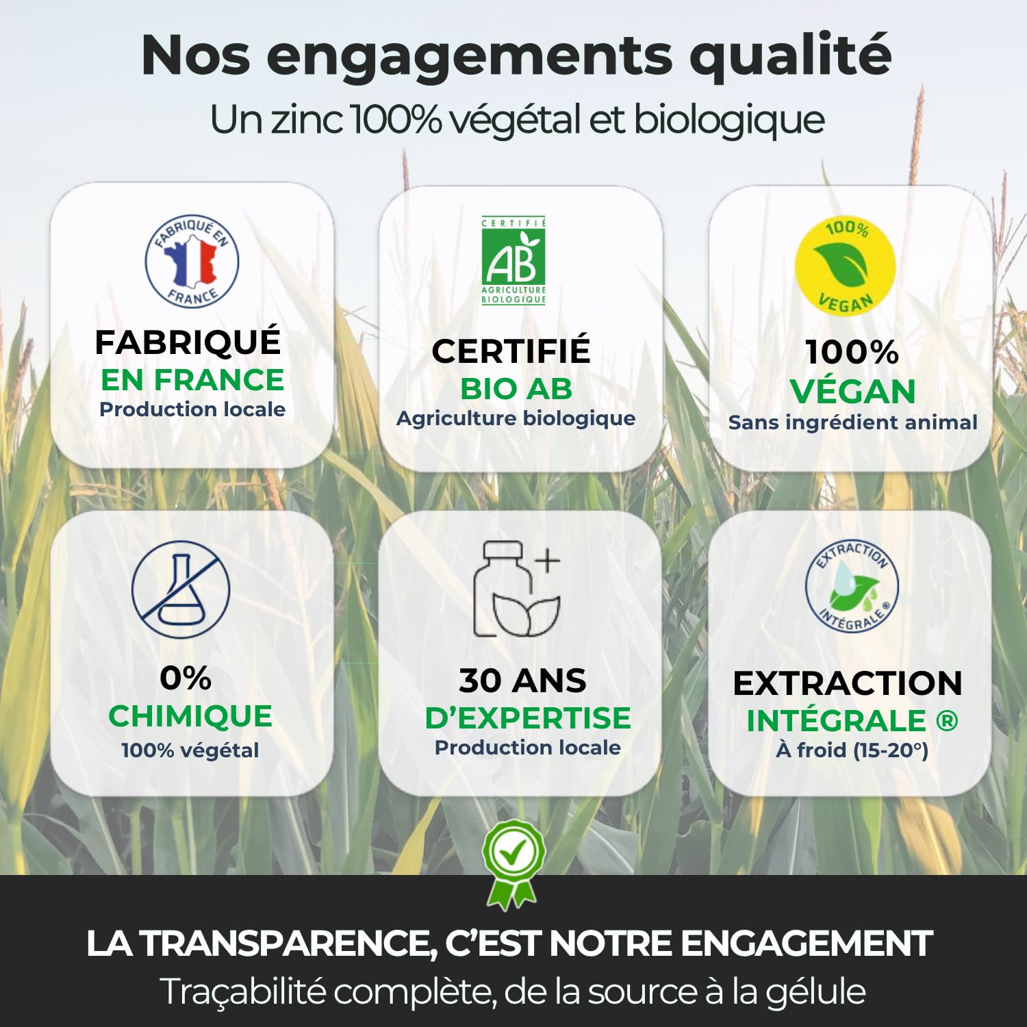 Biophénix - Zinc Bio 30 gélules - Procédé Exclusif Extraction Intégrale® - Complément Alimentaire 100% Naturel à Base de Végétaux - 0% Excipien - Nouvelle formule - Fabriqué en France - Vegan