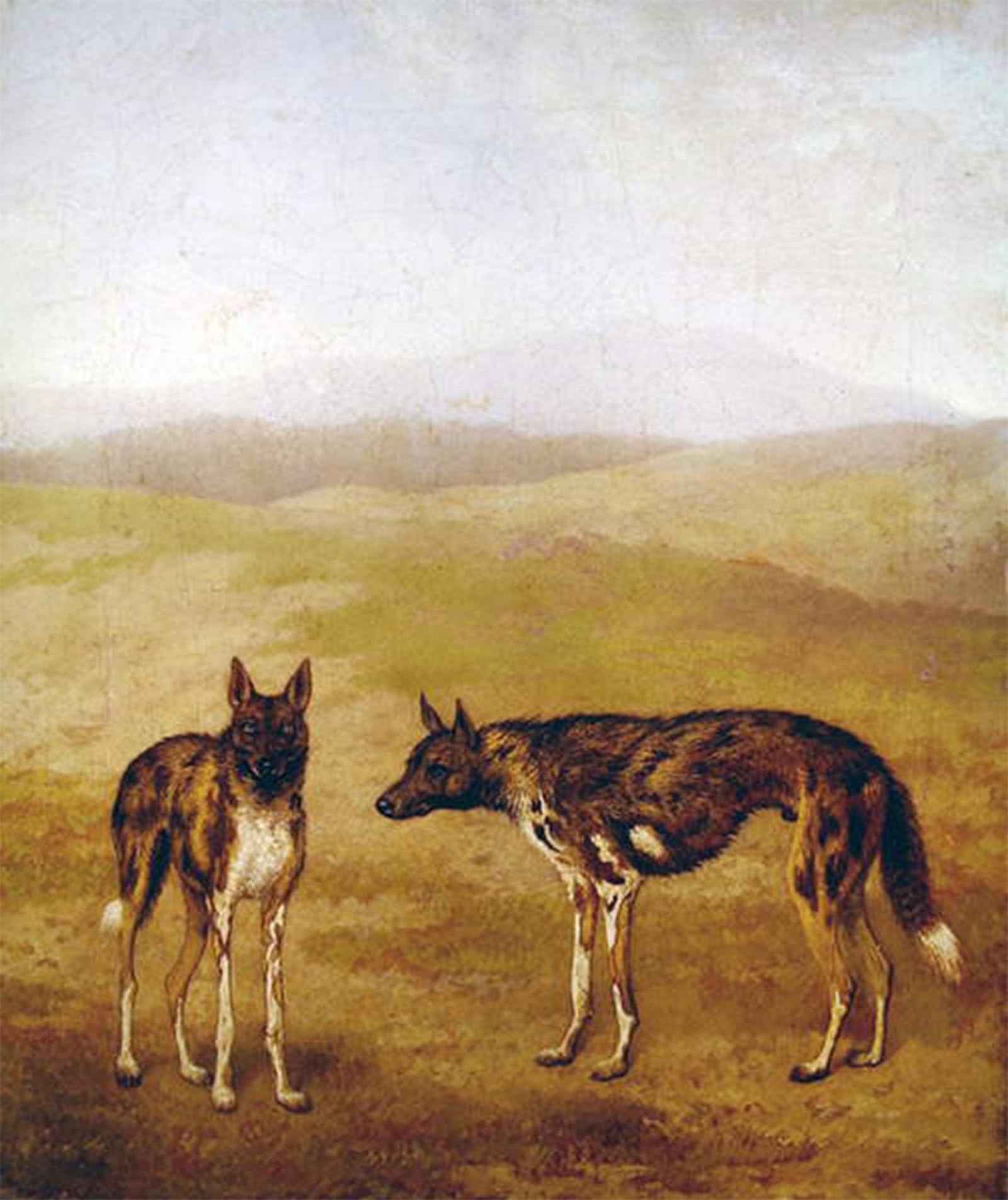 WYKUJMYTO Classic Canvas Picture Printing Canvas Art Wall Art Picture Two African Hunting Dogs by Jacques Laurent Agasse Artwork on Wall for Home Decor 60x90cm