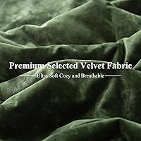 Vista 5 de Ivellow Crushed Velvet Comforter Set Queen Green Comforter Set 5pcs Ultra Soft Lightweight Breathable Bedding Set Luxury Cozy Flannel Comforter