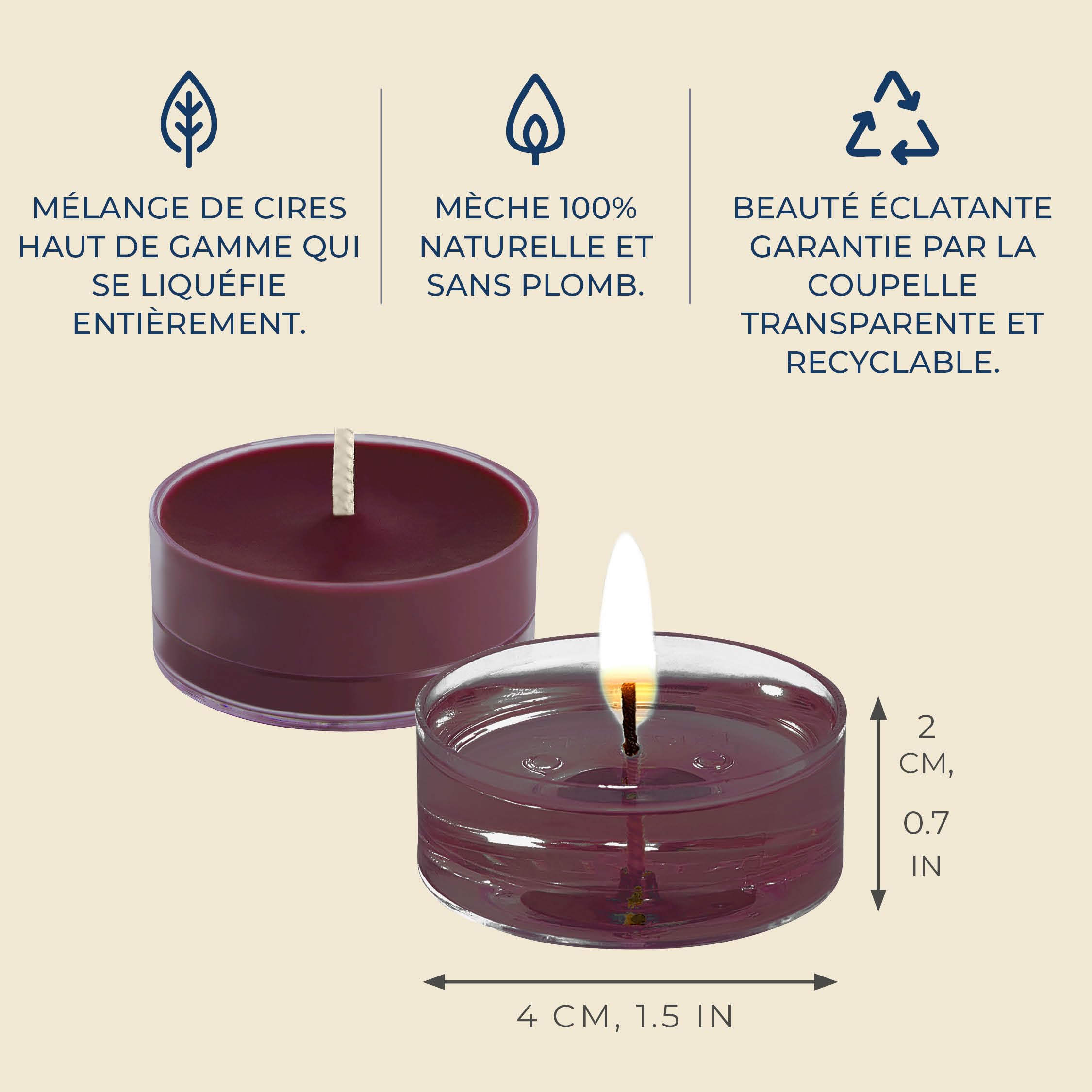PartyLite Lot De 12 Bougies Chauffe-Plat Parfumées Aromathérapie – Jusqu’à 6 Heures De Combustion, Idéales Décoration, Cadeaux Et Ambiance