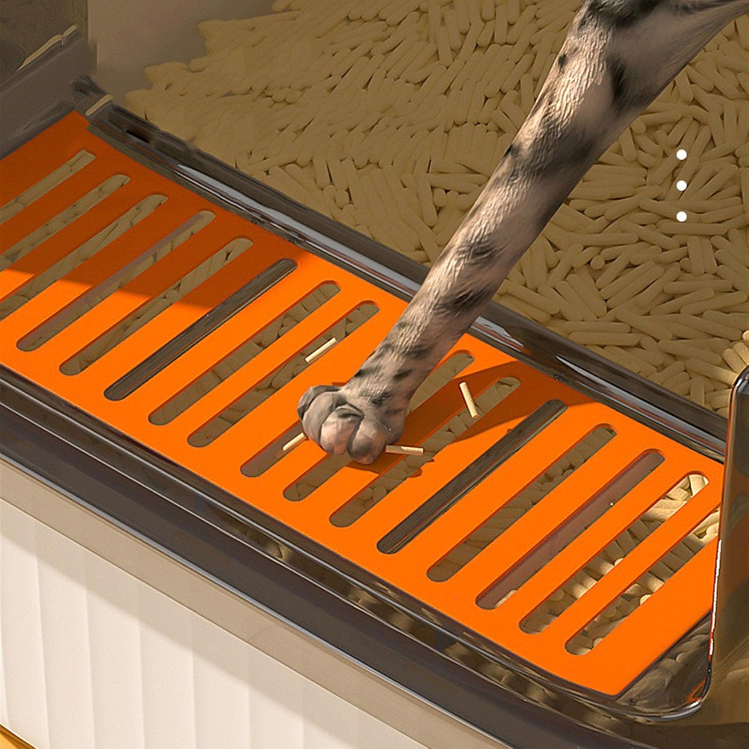 Litterbox Sifting Cat Litter Box with Scoop for Kittens, Open Litter Box with High Sides, Small Pet Toilet Travel Litter Pan for Kitty and Thiny Cats Cat Litter Tray(Green)