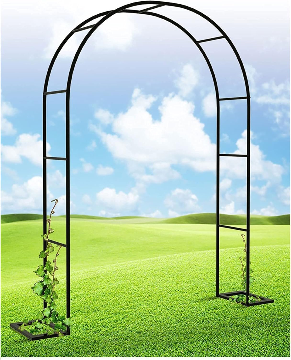 Lauben, Gartenlauben, Rosenbogen, PergolaLaubenbogen, Rosensträucher