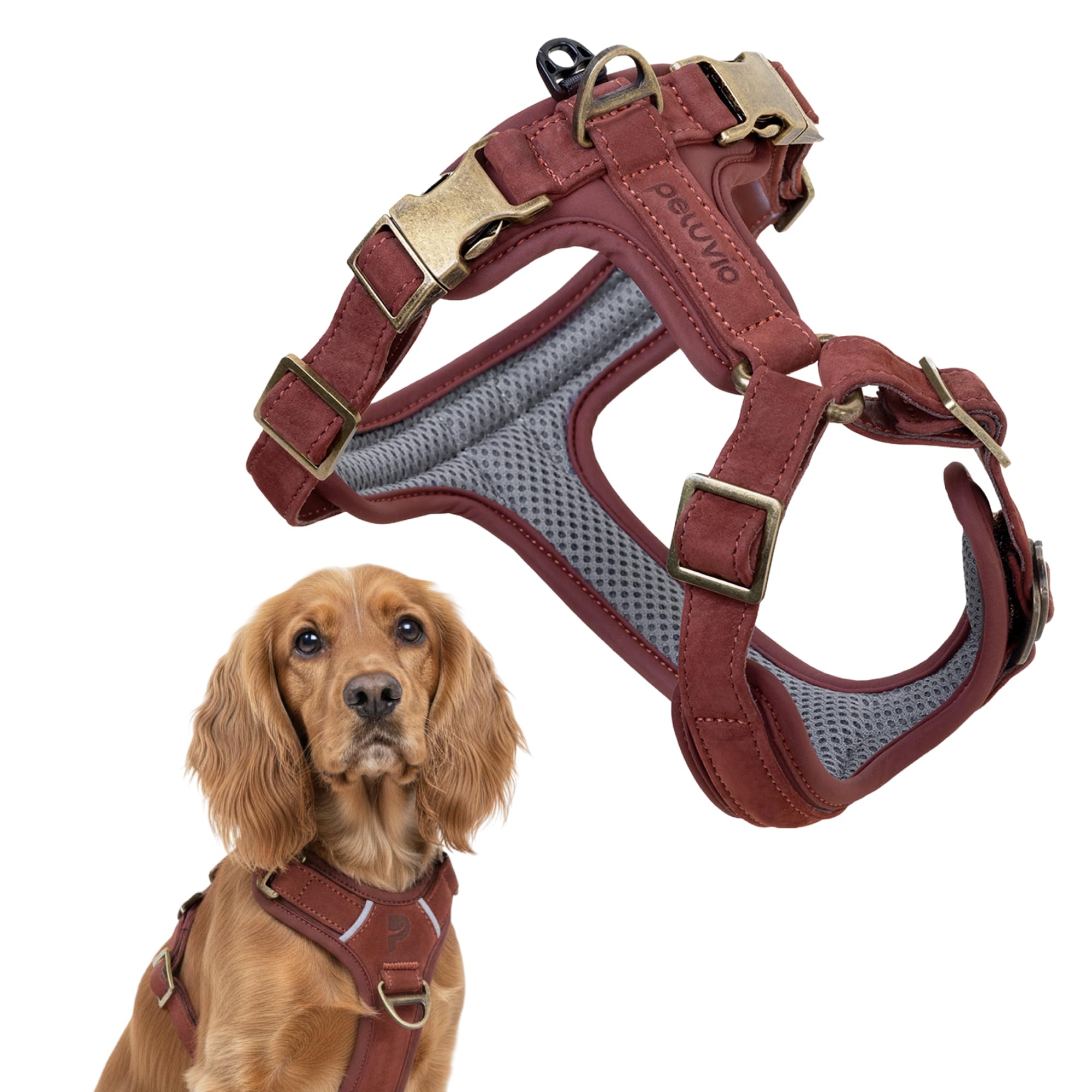 Lord Leder Hundegeschirr mit Guard-Konstruktion | Natürliche Rindsleder, für Mittlere Hunde, Komfort und Bewegungsfreiheit, Stabiles Führen an Der Leine