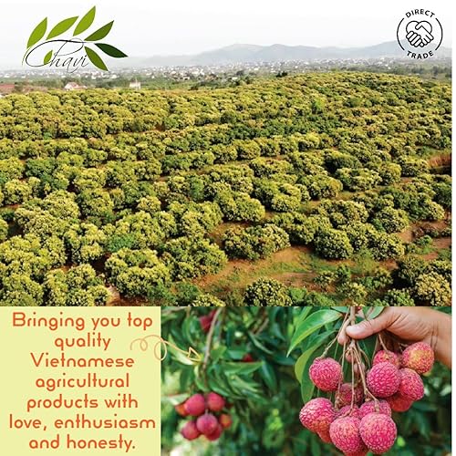 Miniatura 10 de CHAVI Bocadillo de fruta del dragón liofilizado en cubitos  12 onzas  Paquete de 6 x 2 onzas  Superalimento saludable de 1 ingrediente  Snack