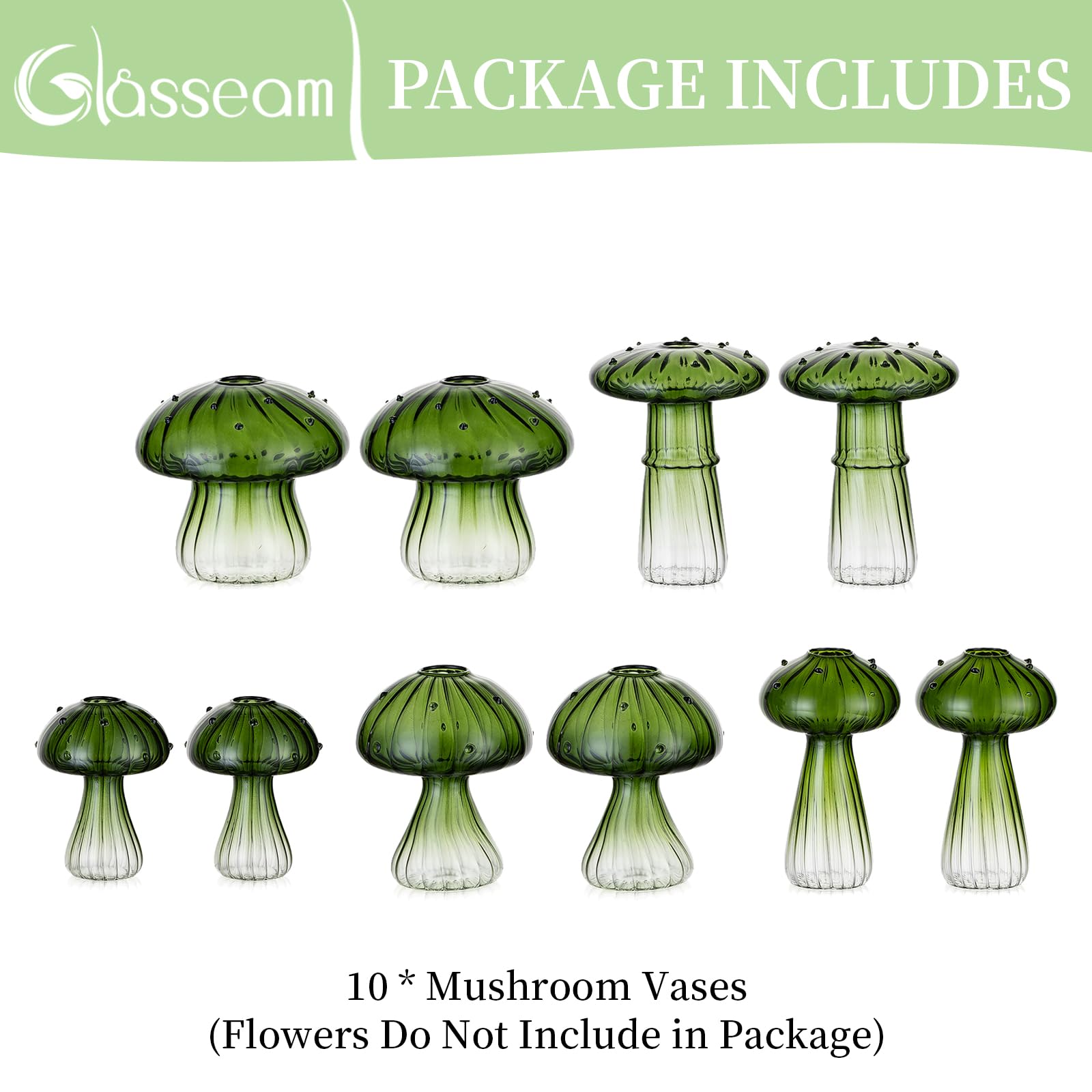 Glasseam Stations de propagation de plantes champignons : lot de 10 pots de terrarium en verre vert pour plantes d'intérieur - Mini station de propagation - Cadeaux uniques de Noël et d'anniversaire