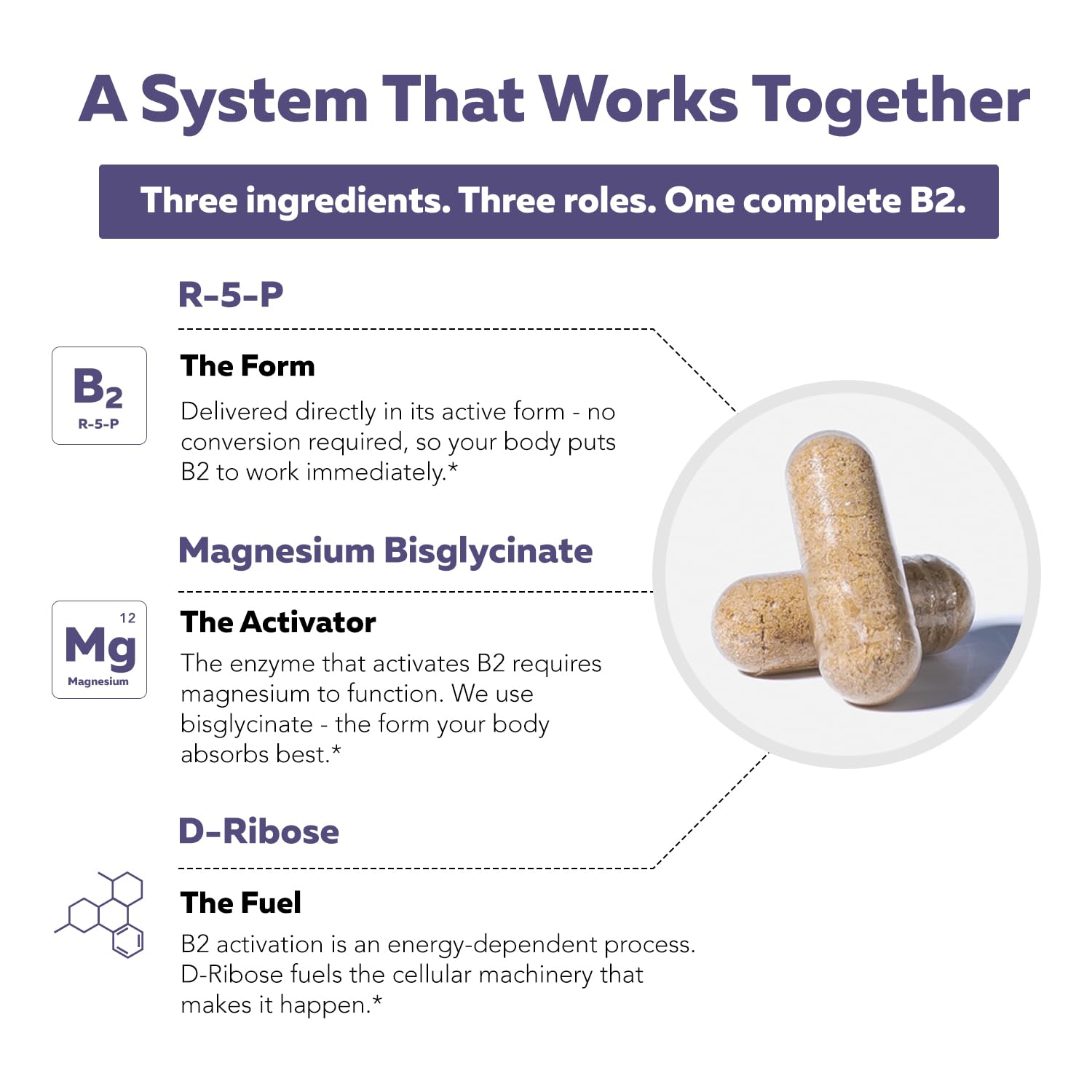 Vitamin B2 100mg, Active Riboflavin with Magnesium Bisglycinate & D-Ribose — Amazon image 5