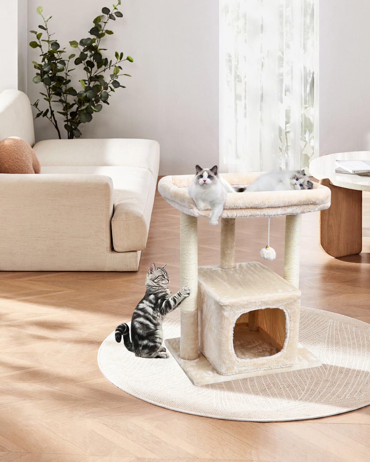 SYANDLVY 68cm Katzenbaum für Indoor-Katzen, Aktivitätsturm mit Kratzerposten, Moderne Kätzchen Condo mit Plüsch Perch & Hängen Ball zum Spielen (Beige)