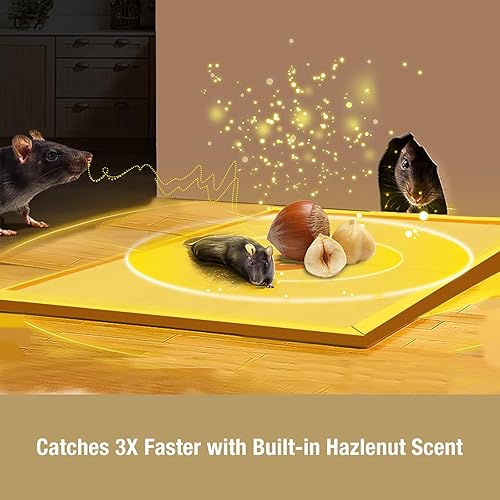 Miniatura 2 de ZingZap Tabla de pegamento para trampa para ratones, paquete de 13 unidades, captura 3 veces más rápida con aroma de avellana integrado, trampa