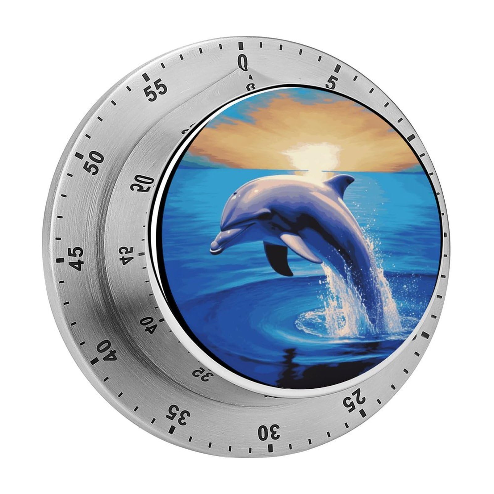 Elegant Dolphin Timers Adsorbable Stainless Steel Kitchen Timer Loud 60 Minute Visual Timer Portable Manual Countdown Timers Alarm Clock Time Management Tool for Home Work