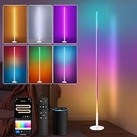 Fortand WiFi RGBCW LED Állólámpa - 16 Millió Szín, Távirányítóval, Alexa/Google Home Kompatibilis, Tompítható Saroklámpa Zene Módokkal, Ezüs 2