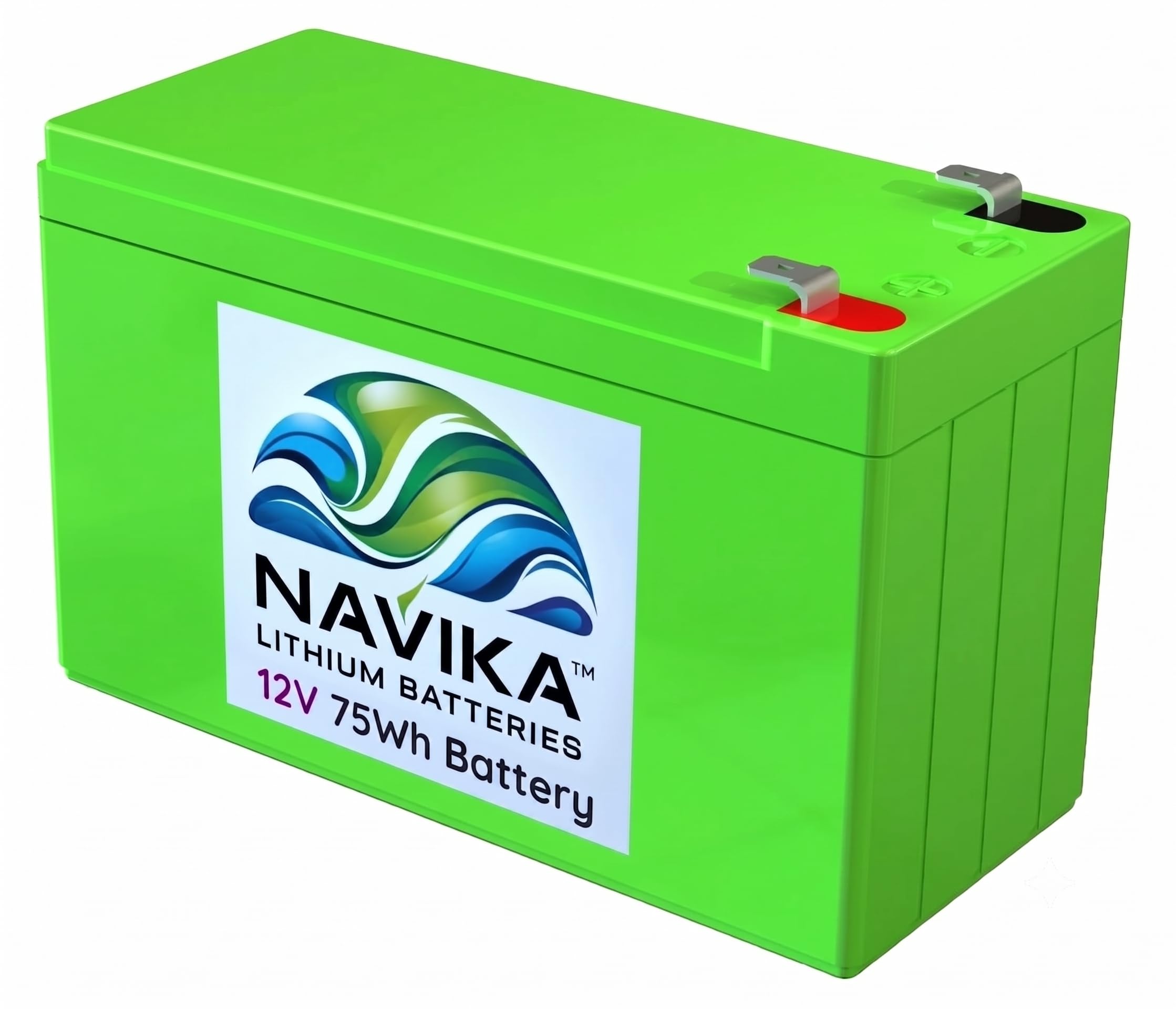 Lithium Battery for Double Motor Spray Pump, 20-25 Pump/Charge, Agriculture Spray Pump, Solar Light, Toys - 12.8V - Light Weight 800g - High Capacity Long Lasting Power