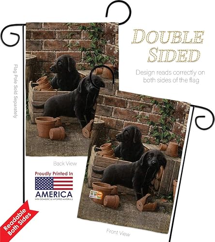 Miniatura 3 de Paquete de banderas de jardín de cachorros de laboratorio negras con diseño de perros y cachorros, patas arruinadas, piel canina, mascota,