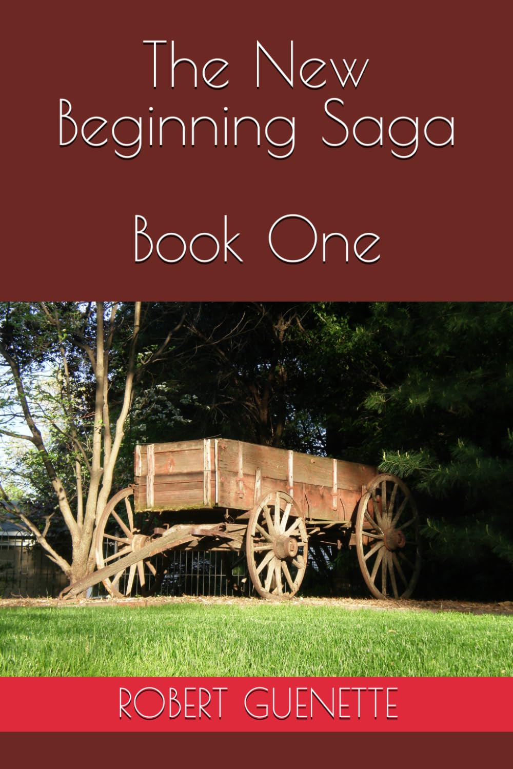 The New Beginning Saga Book One