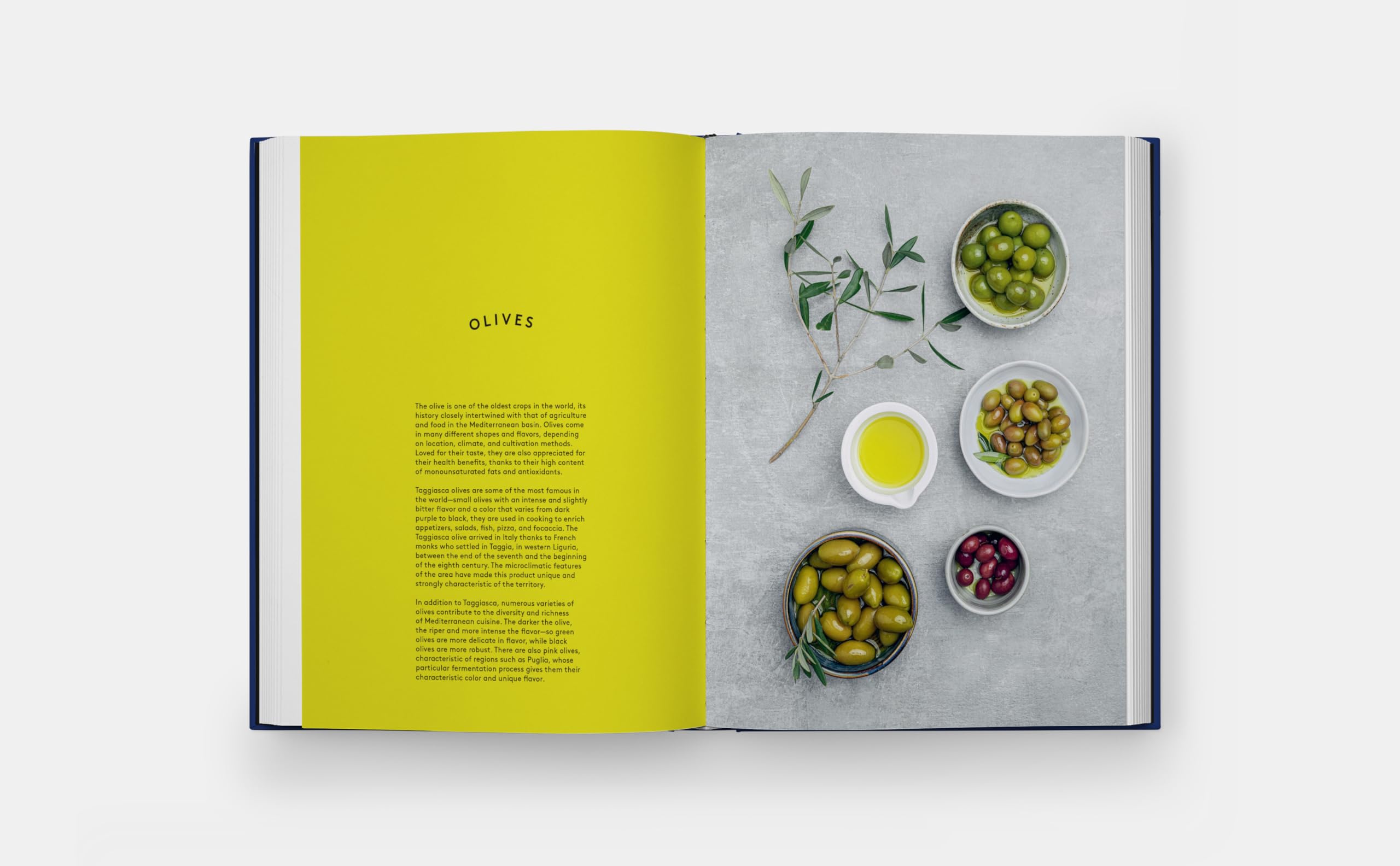 The book of pasta