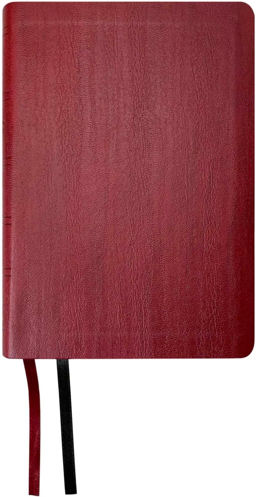 NASB Large Print Compact Bible, Red, Leathertex, 2020 text Imitation Leather – Large Print, 1 Oct. 2021