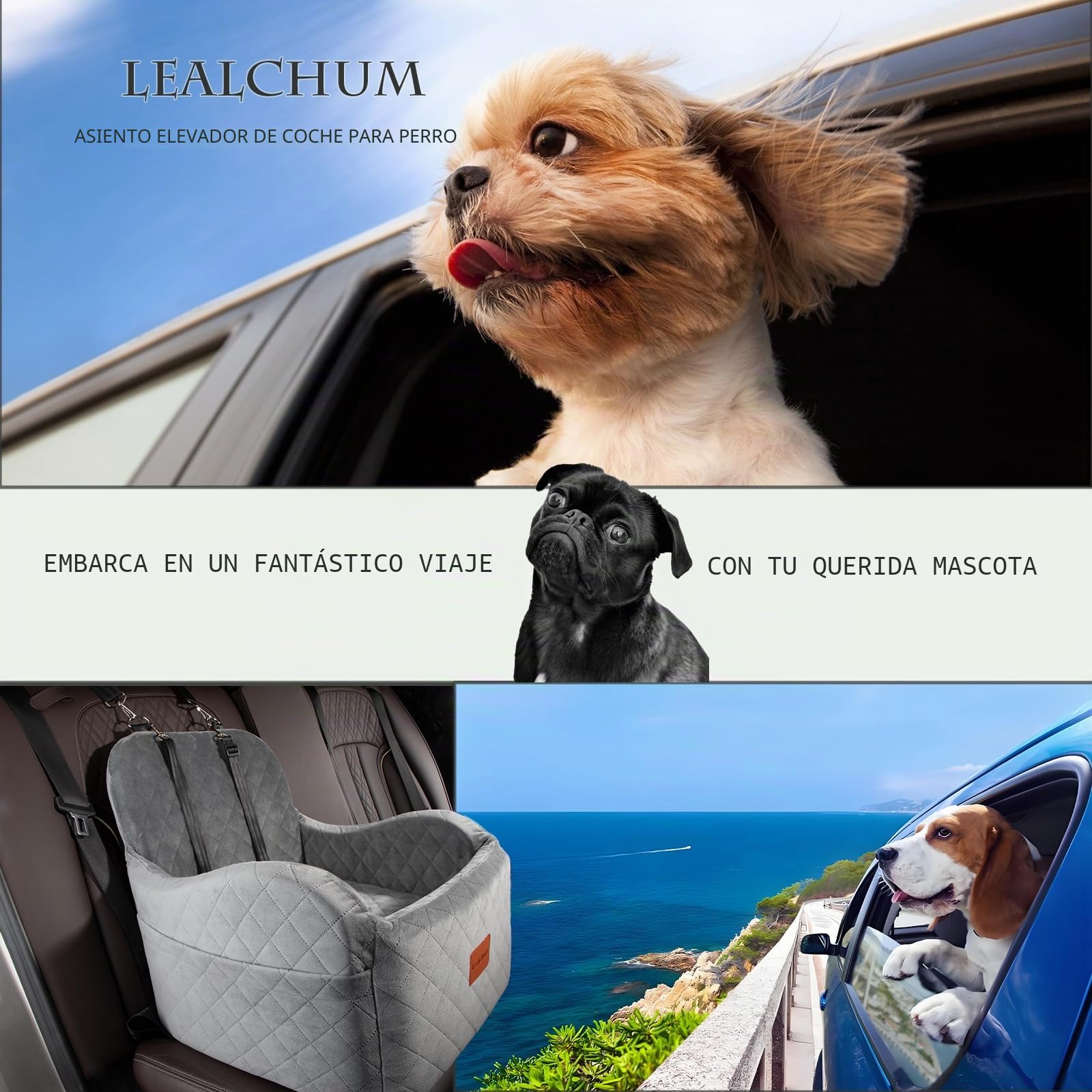 Lealchum Silla de coche para perros pequeños, portátil con fondo elevado, totalmente extraíble y lavable, fácil de instalar y limpiar (gris)