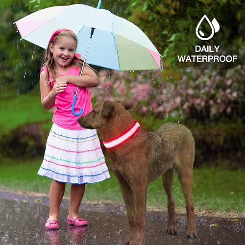 Miniatura 7 de YFbrite - Collar de perro con luz LED, recargable por USB, collar de cachorro súper brillante con luces para perros ajustable y brillante para