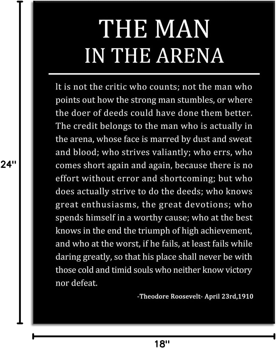 Motivational Poster The Man In The Arena Inspirational Canvas Wall Art Positive Quotes Canvas Prints Artwork for Living Room Home Decor Painting Stretched and Framed [18''Wx 24''H]