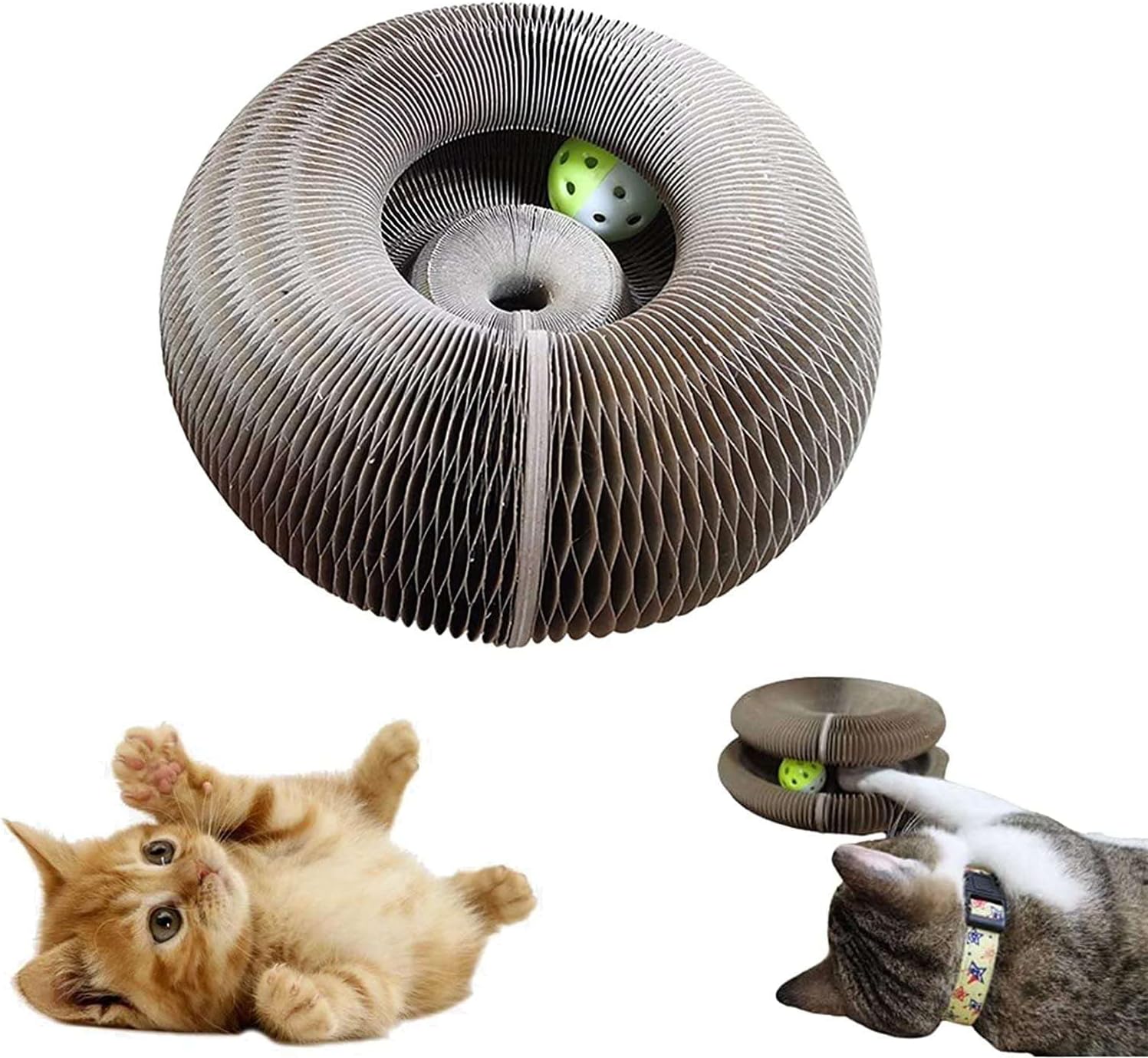 Magic Organ Cat Scratching Board | Cat Scratcher | Durable & Foldable Interactive Kitten Toy with Bell Ball | Cat Toy Ball