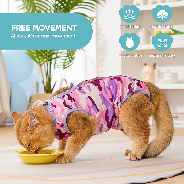 Avont Body Post Operatorio Gatto, Tutina Gatto Post Operatori Sterilizzazione, Cat Recovery Suit per Impedire Leccare Ferita Addominale Dopo l'intervento Chirurgico -Purplecamo(L) - 4