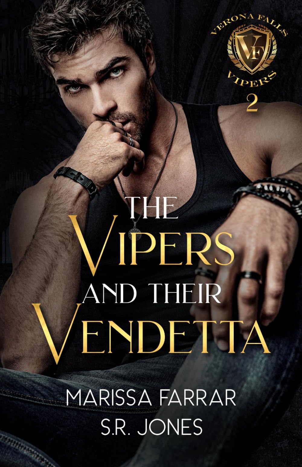 The Vipers and Their Vendetta: A Dark College Bully Romance: 2 (Verona Falls Vipers)