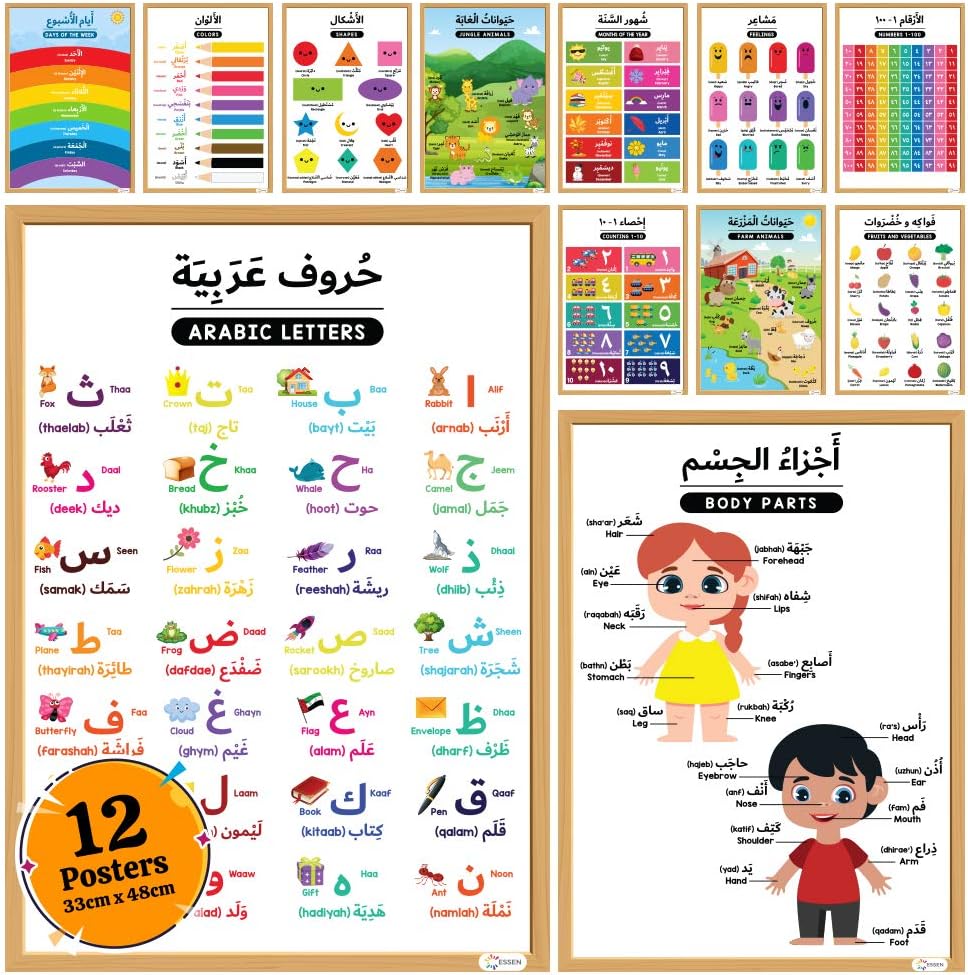Arabic Alphabet Educational Preschool Posters - Learning Charts for Kids Toddlers: Arabic Alphabets, Numbers, Shapes, Colors, Animals, Days of Week, Fruits, Body Parts - Set of 12