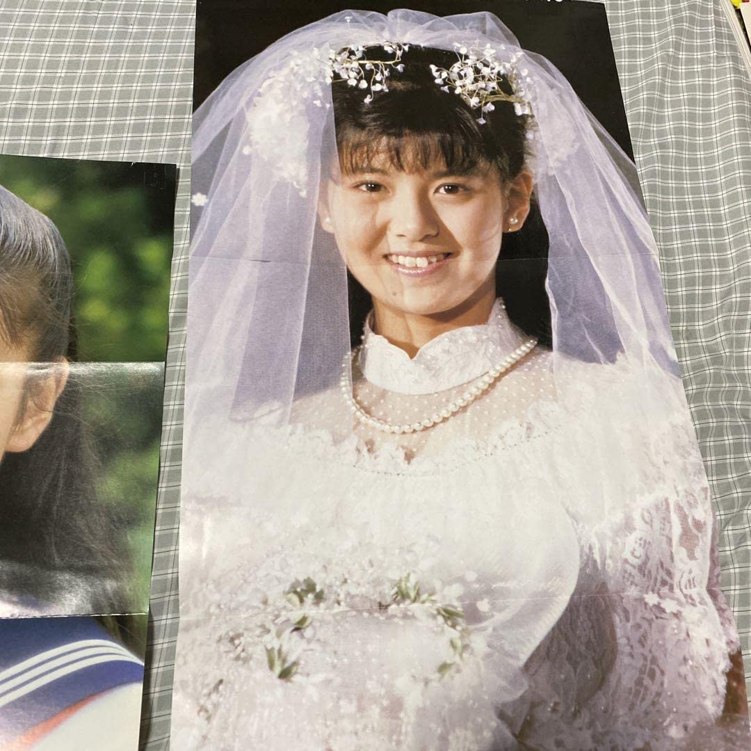 Amazon.co.jp: 南野陽子 スケバン刑事2 アリエスの乙女たち 折り込み