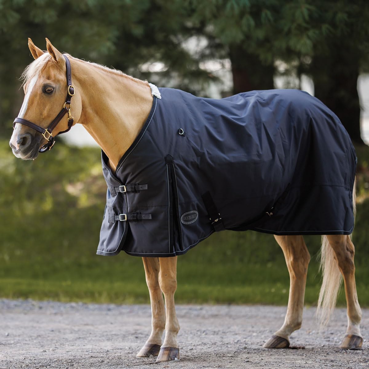 Country Pride Glacier 600D Ripstop Heavyweight Turnout Blanket, Waterproof, Insulated 300g Poly-Fill, Nylon Lined, Shoulder Gussets, Adjustable Leg