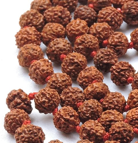 Miniatura 3 de Rudraksha Mala Knoted orgánico 5 caras Panchmukhi con 108  1 cuentas tamaño de cuentas de 0315-0354in para meditación de Japa
