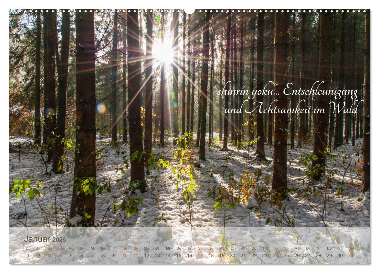 Shinrin yoku - Waldbaden 2026 (hochwertiger Premium Wandkalender 2026 DIN A2 quer), Kunstdruck in Hochglanz: Zwölf einladende Fotografien inspirieren ... abzutauchen (CALVENDO Gesundheit)