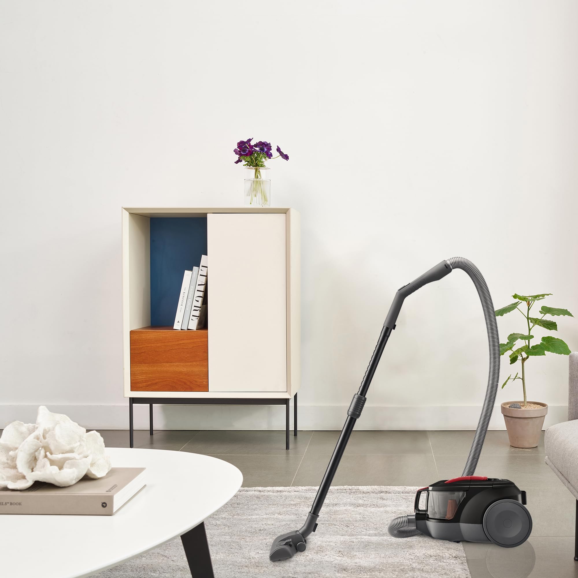 LG VC5506NHTCR Aspirapolvere senza sacchetto 650 W, Sistema Ciclonico Elipse, Aspirapolvere Tubo Telescopico, Regolazione Potenza, Serbatoio 1,1 L, Speciale Animali domestici + Tappeti-Pavimenti,