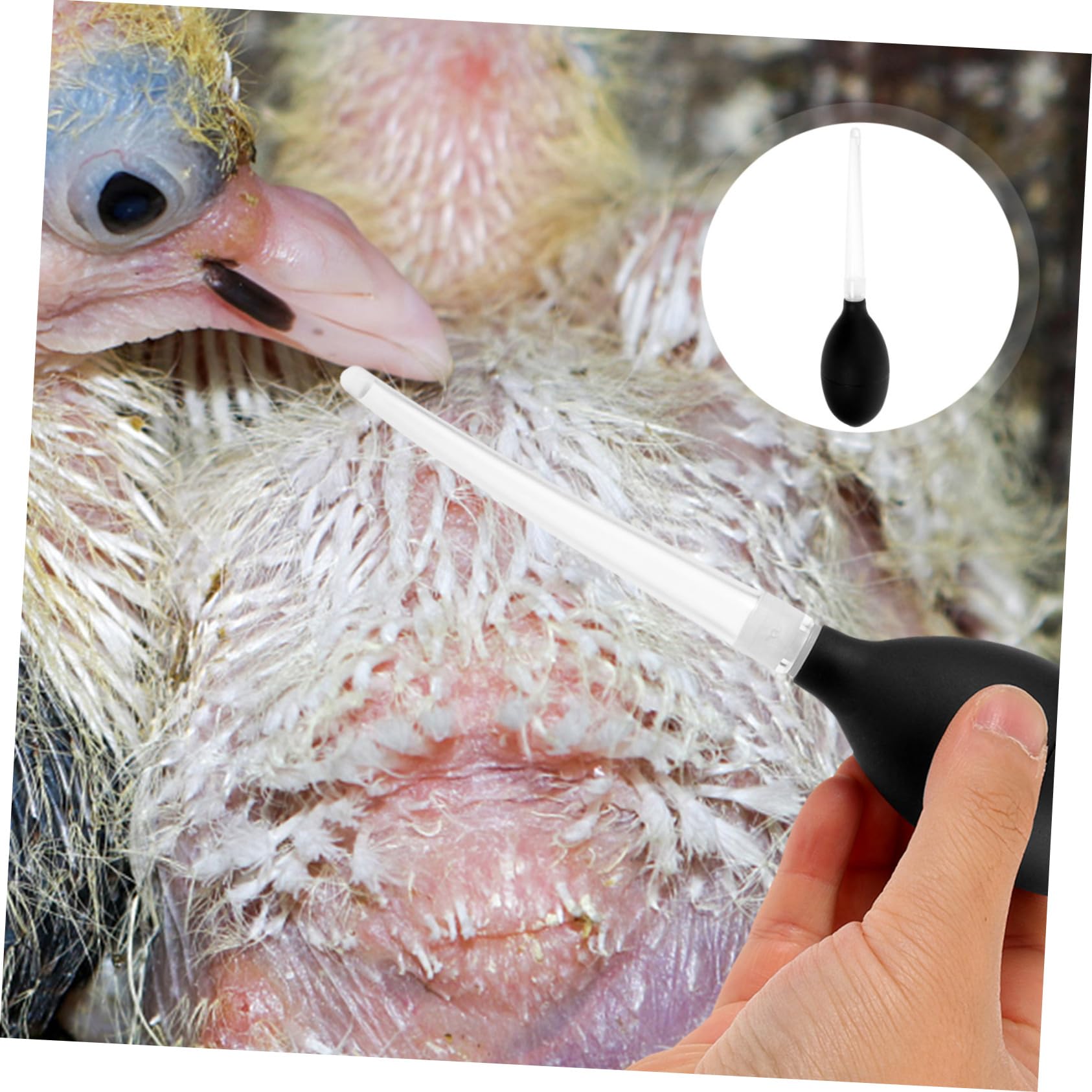 FONDOTIN Bird Pacifier Feeder Compact Weaning Device for Pigeon Weaning Supply Nursing Dropper