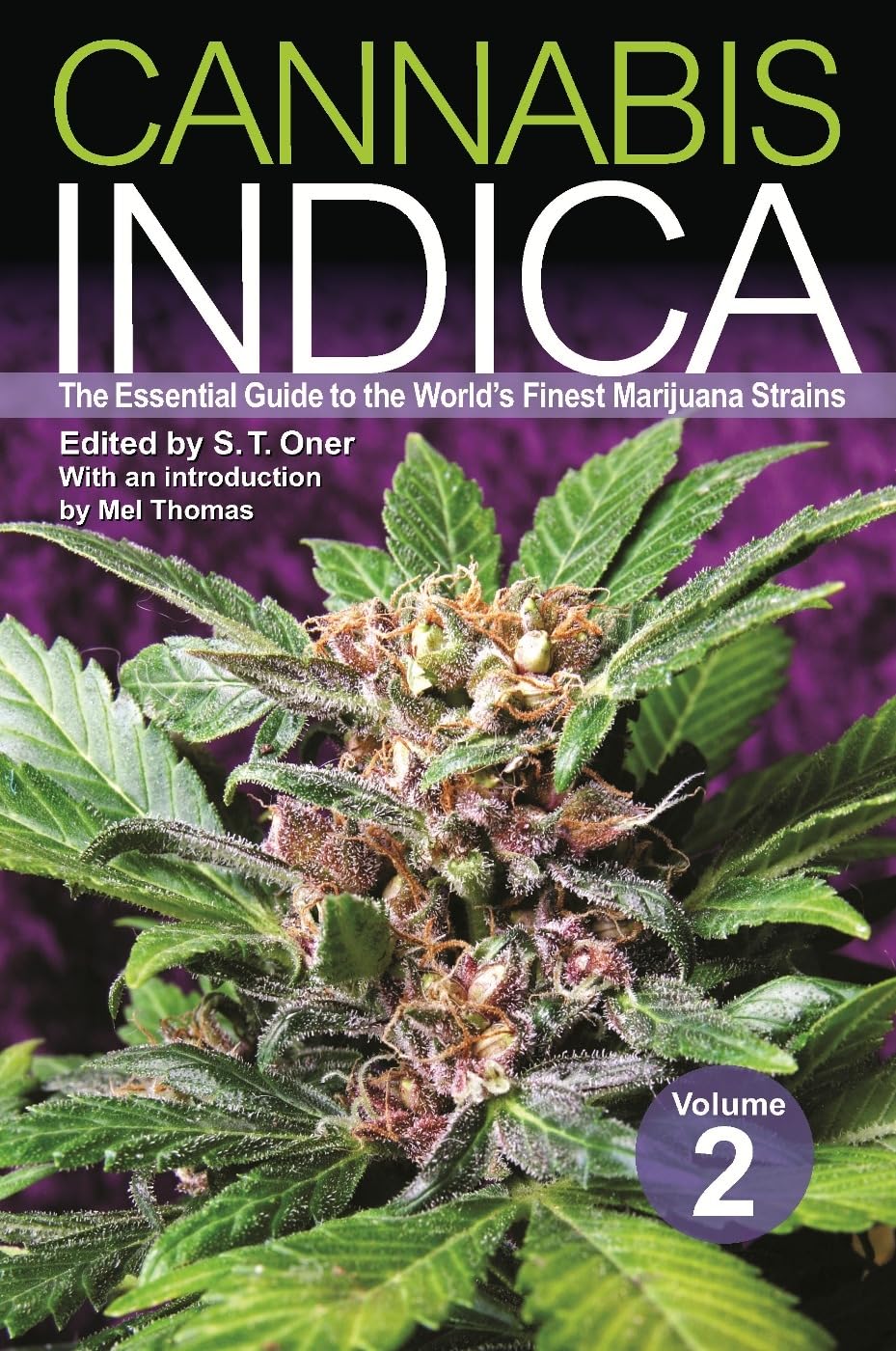 Cannabis Indica: Volume 2: The Essential Guide to the World's Finest Marijuana Strains